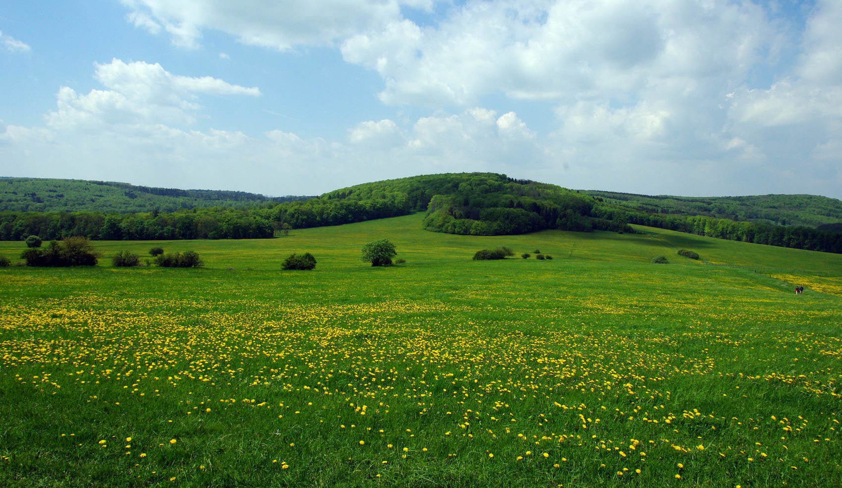 Thueringische-Rhoen-Fruehling Thueringische-Rhoen-Fruehling